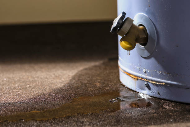 Best 24-hour water damage restoration  in Lorain, OH