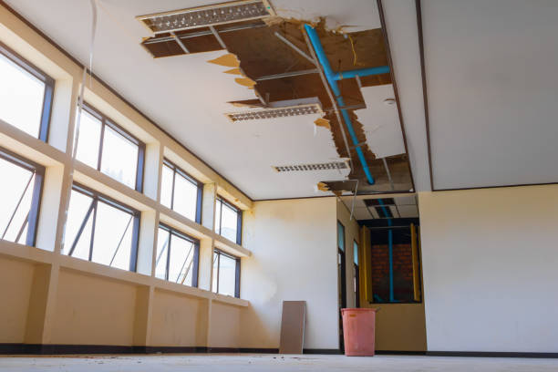 Best Water damage cleanup near me  in Lorain, OH