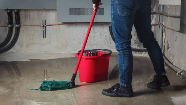 Best Flood damage cleanup  in Lorain, OH