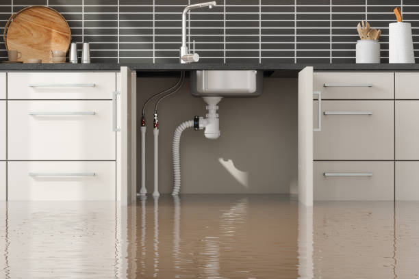  Lorain, OH Water damage restoration Pros