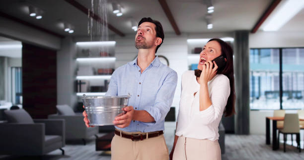 Best Residential water damage restoration  in Lorain, OH