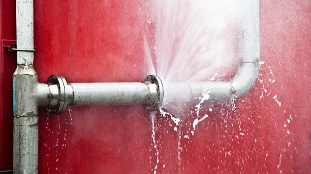 Best Ceiling water damage repair  in Lorain, OH