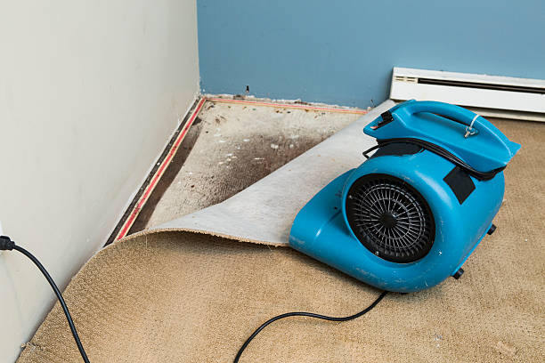Best Carpet water damage restoration  in Lorain, OH